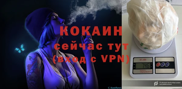 соль ск Кодинск