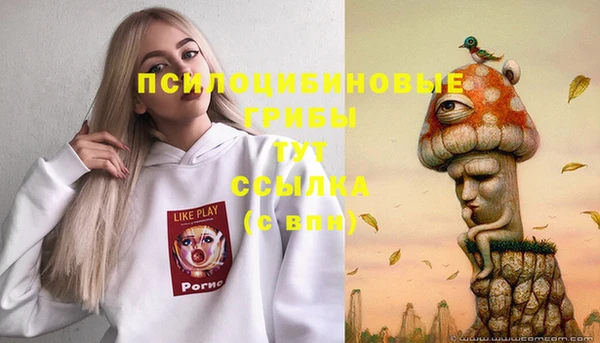 стаф Верхний Тагил