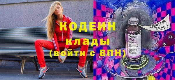 шишки Верея