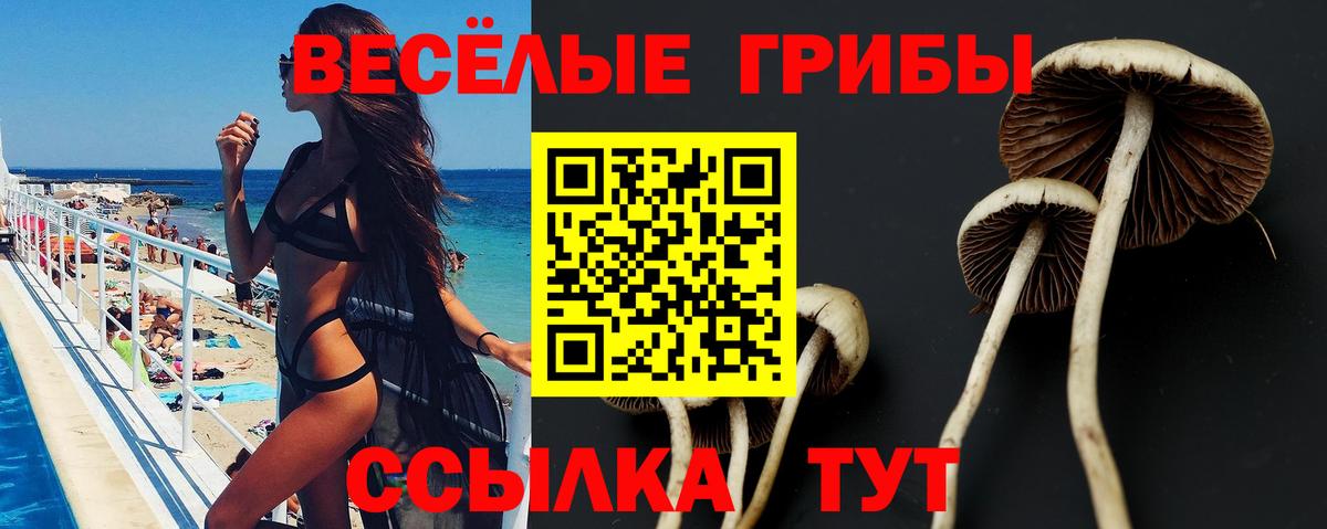 Псилоцибиновые грибы GOLDEN TEACHER  дарнет шоп  Ноябрьск 