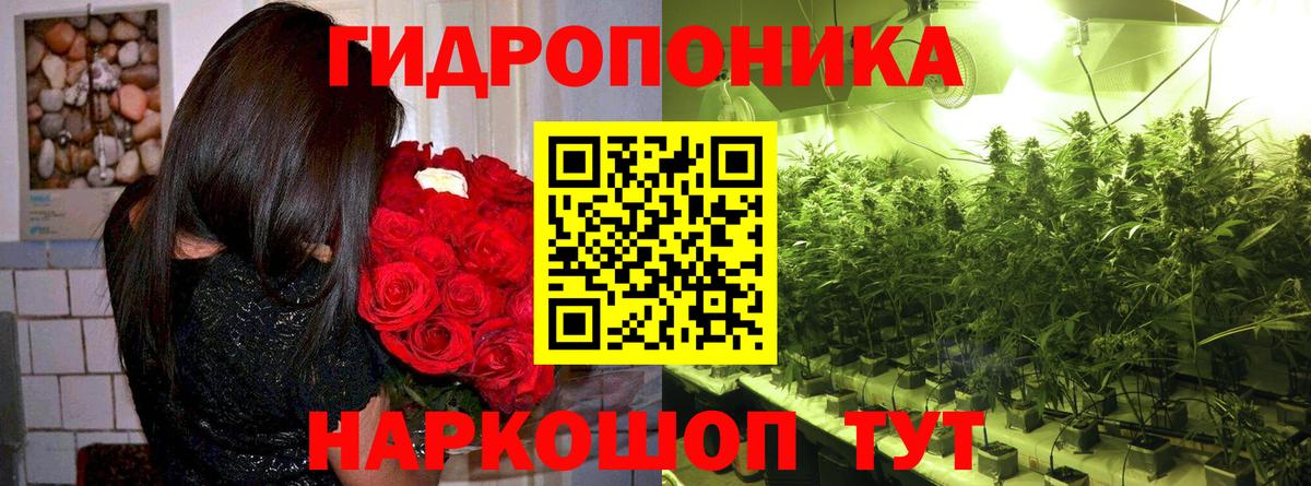 МАРИХУАНА план  Каннабис марихуана  Бошки Шишки тримм  Ноябрьск 